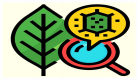 Natural Science